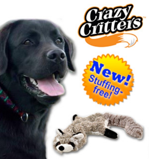 Crazy Critters Stuffing Free Dog Toys Set of 3